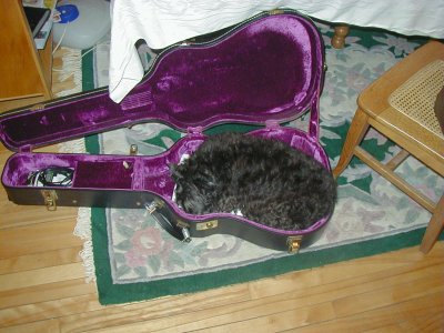 nap time